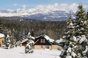 Quiet Chalet with Big Views - Walk to Tahoe Skiing!